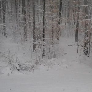 Meet your Posher, Tawanna